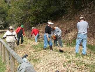 Volunteer Riparian Plantings